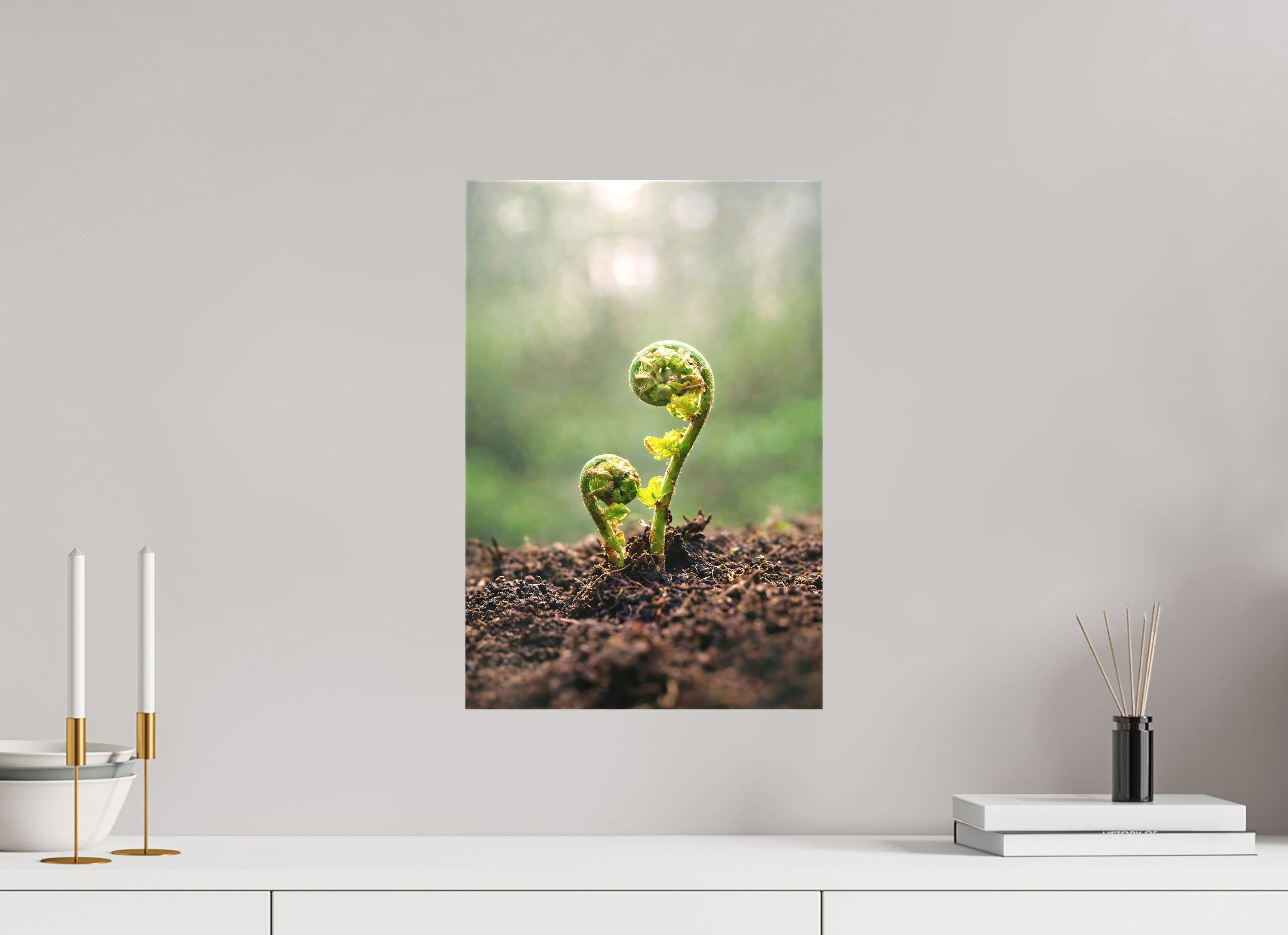 30 x 45 cm, Canvas Fiddlehead Twins – Emerging Forest Life