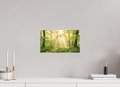 35,8 x 20 cm, Canvas Forest Light – Morning Rays Through the Green