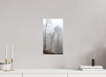 20 x 36,5 cm, Canvas Fogbound Forest – Silence Between the Trees