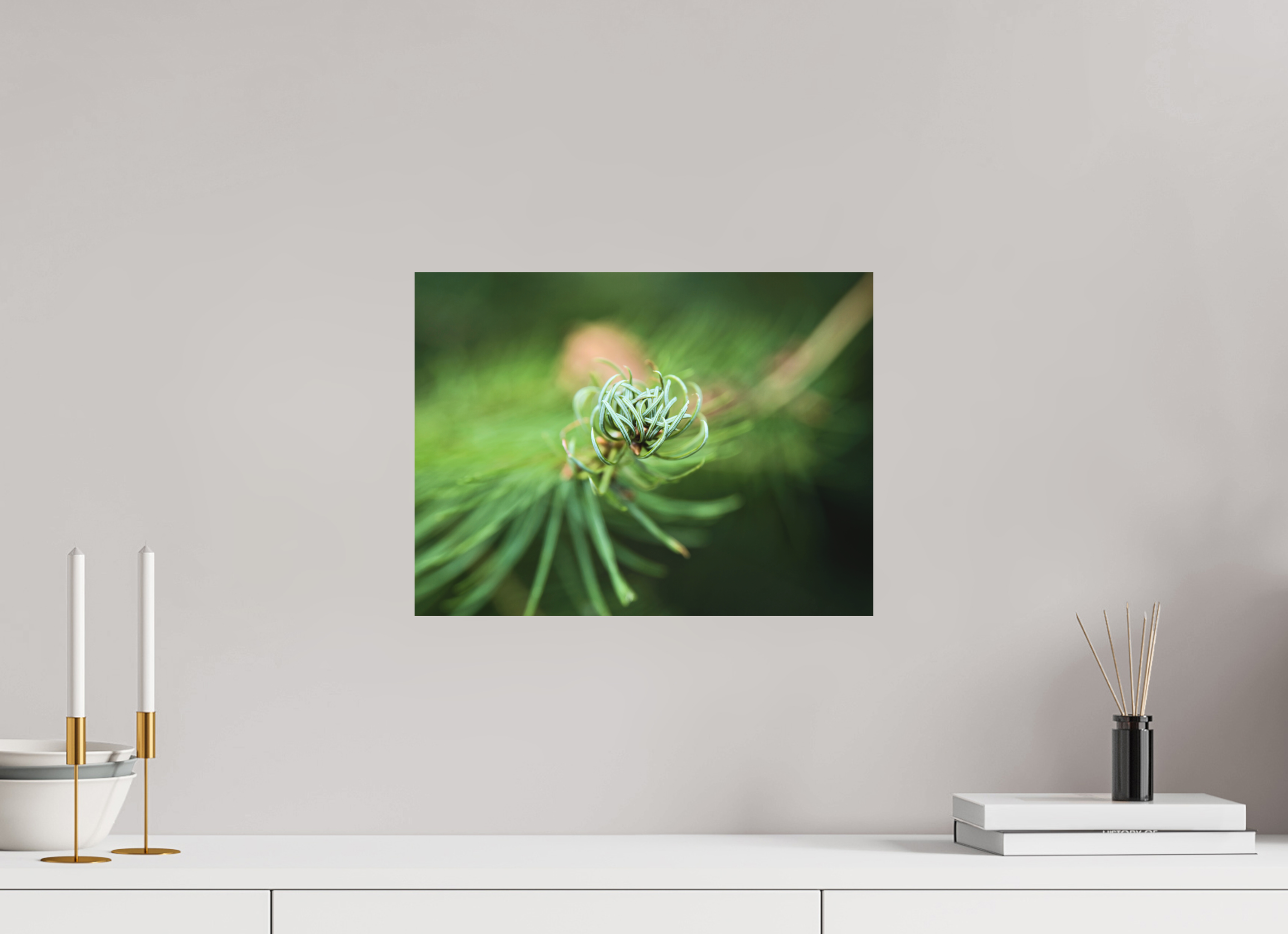 40 x 30 cm, Aluminum Dibond Pine Spiral – Emerging Forest Light