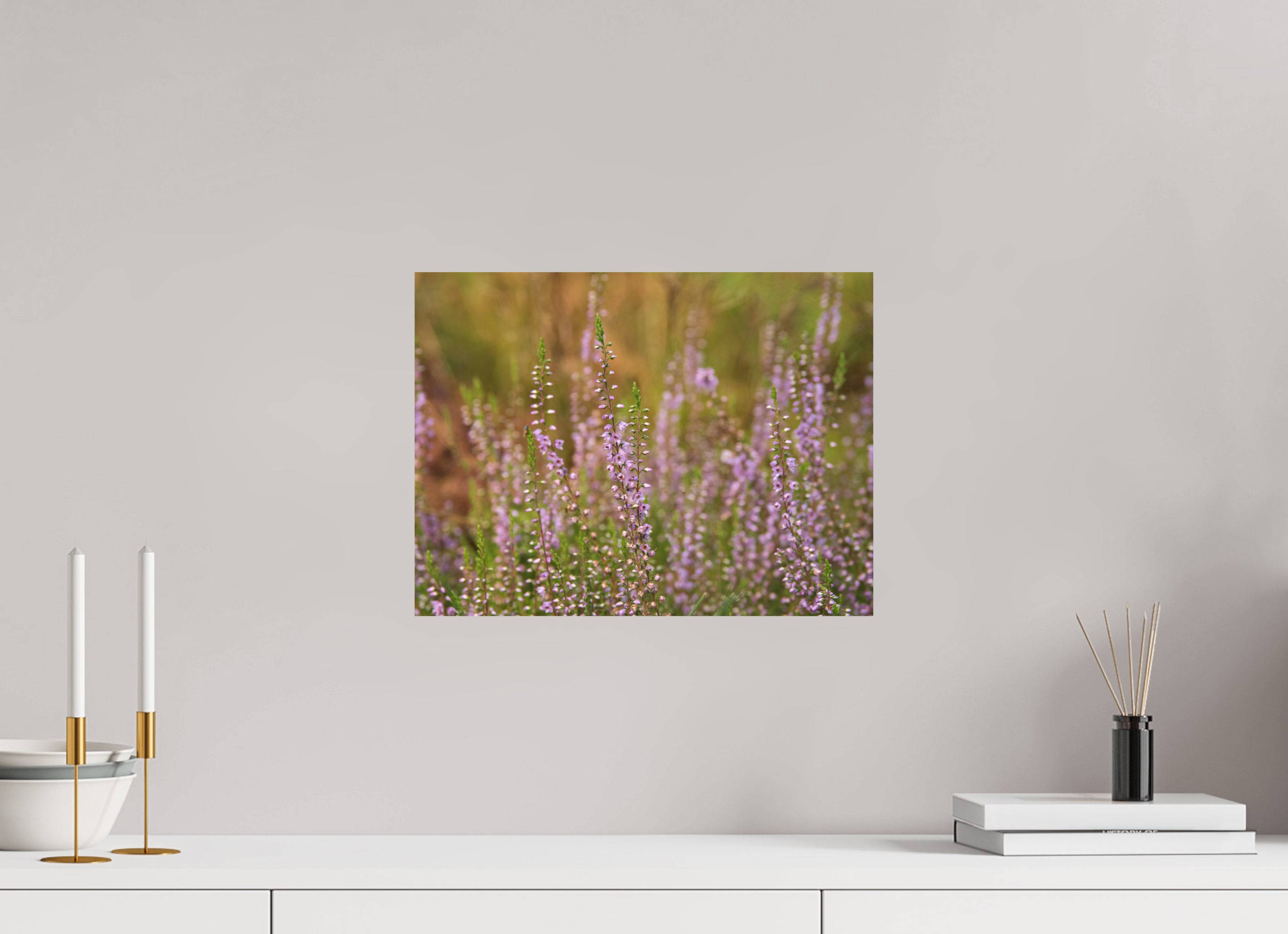 40 x 30 cm, Aluminum Dibond Heather Glow – Softness Across the Moor