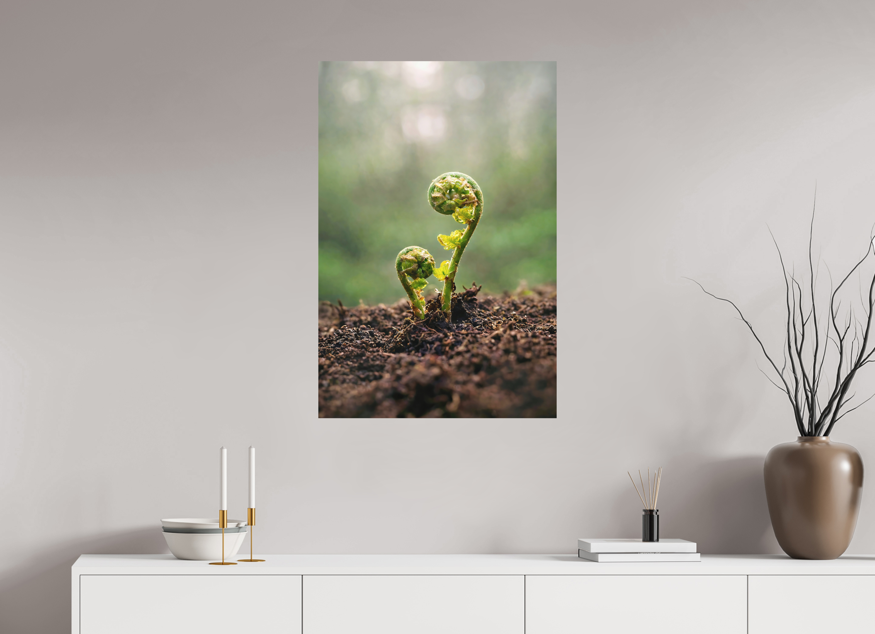 60 x 90 cm, Aluminum Dibond Fiddlehead Twins – Emerging Forest Life