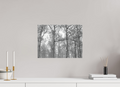 40,9 x 30 cm, Canvas Winter Link – Stillness Between the Trees
