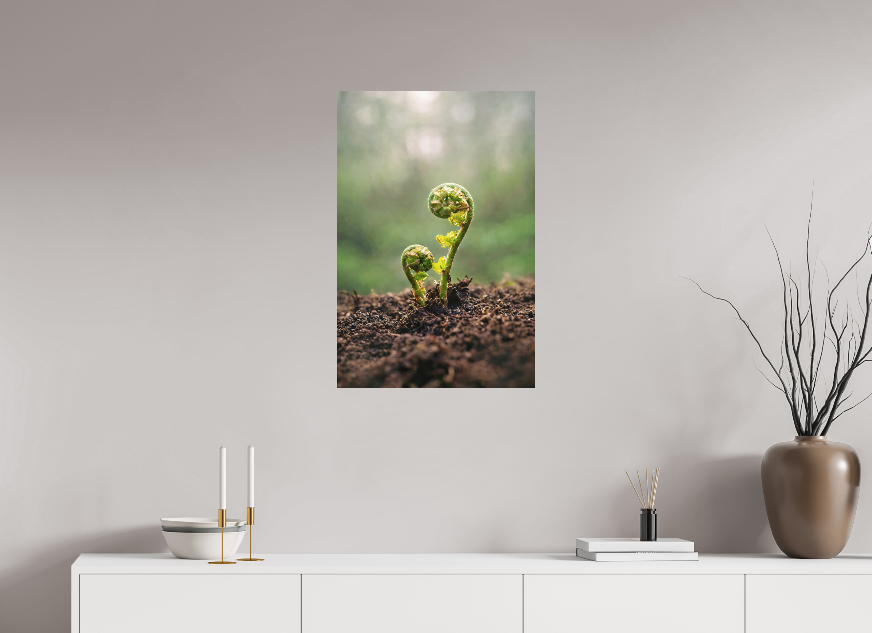 50 x 75 cm, Aluminum Dibond Fiddlehead Twins – Emerging Forest Life