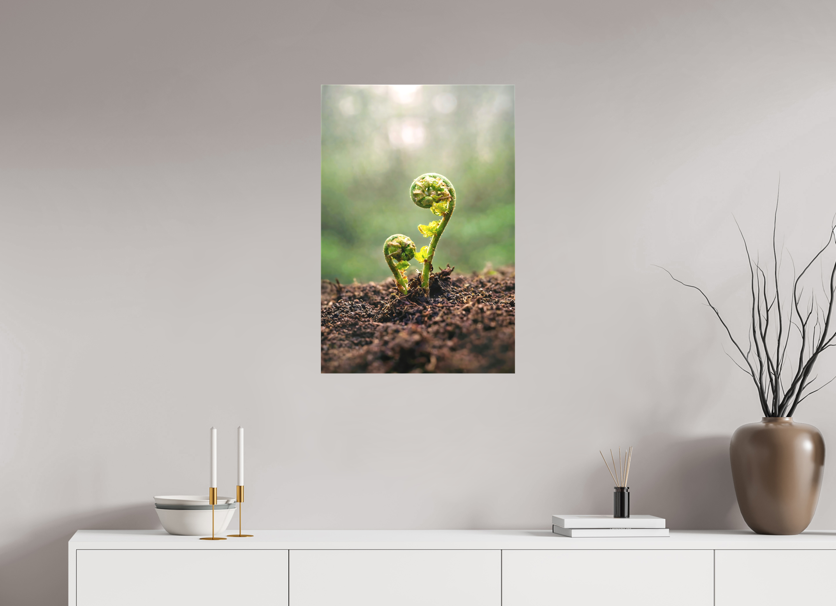 50 x 75 cm, Canvas Fiddlehead Twins – Emerging Forest Life