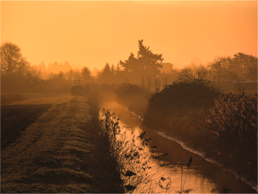 Main image Path to Stillness: Experience ultimate tranquility. A stunning golden morning mist landscape print on premium Alu-Dibond. Gallery quality for your home. Shop the Silent Path.
