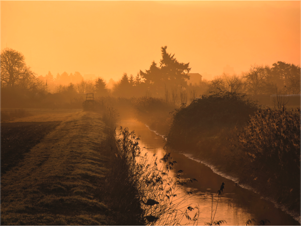 Main image Path to Stillness: Experience ultimate tranquility. A stunning golden morning mist landscape print on premium Alu-Dibond. Gallery quality for your home. Shop the Silent Path.