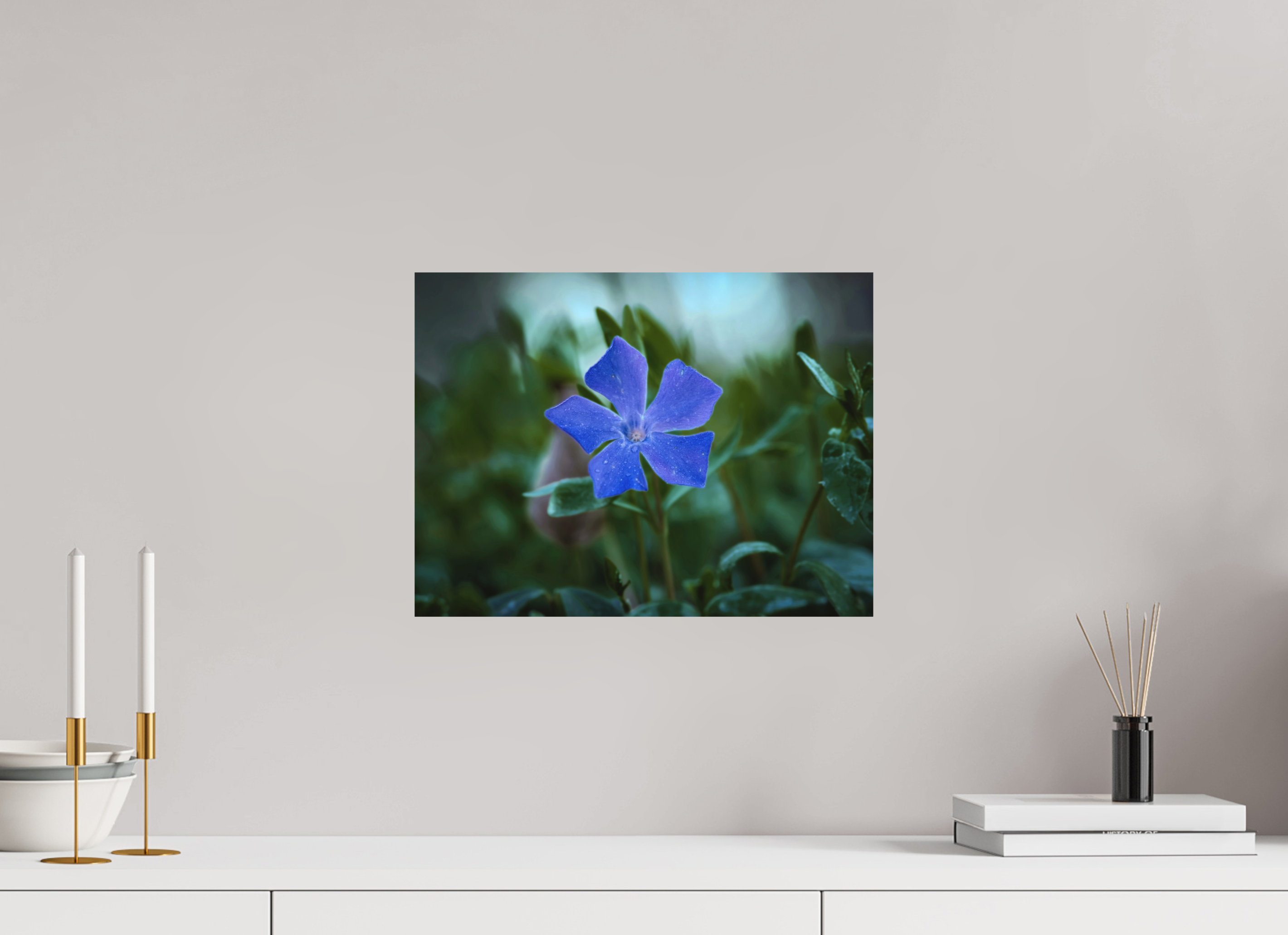 40 x 30 cm, Aluminum Dibond Ephemeral Dew: The Blue Periwinkle
