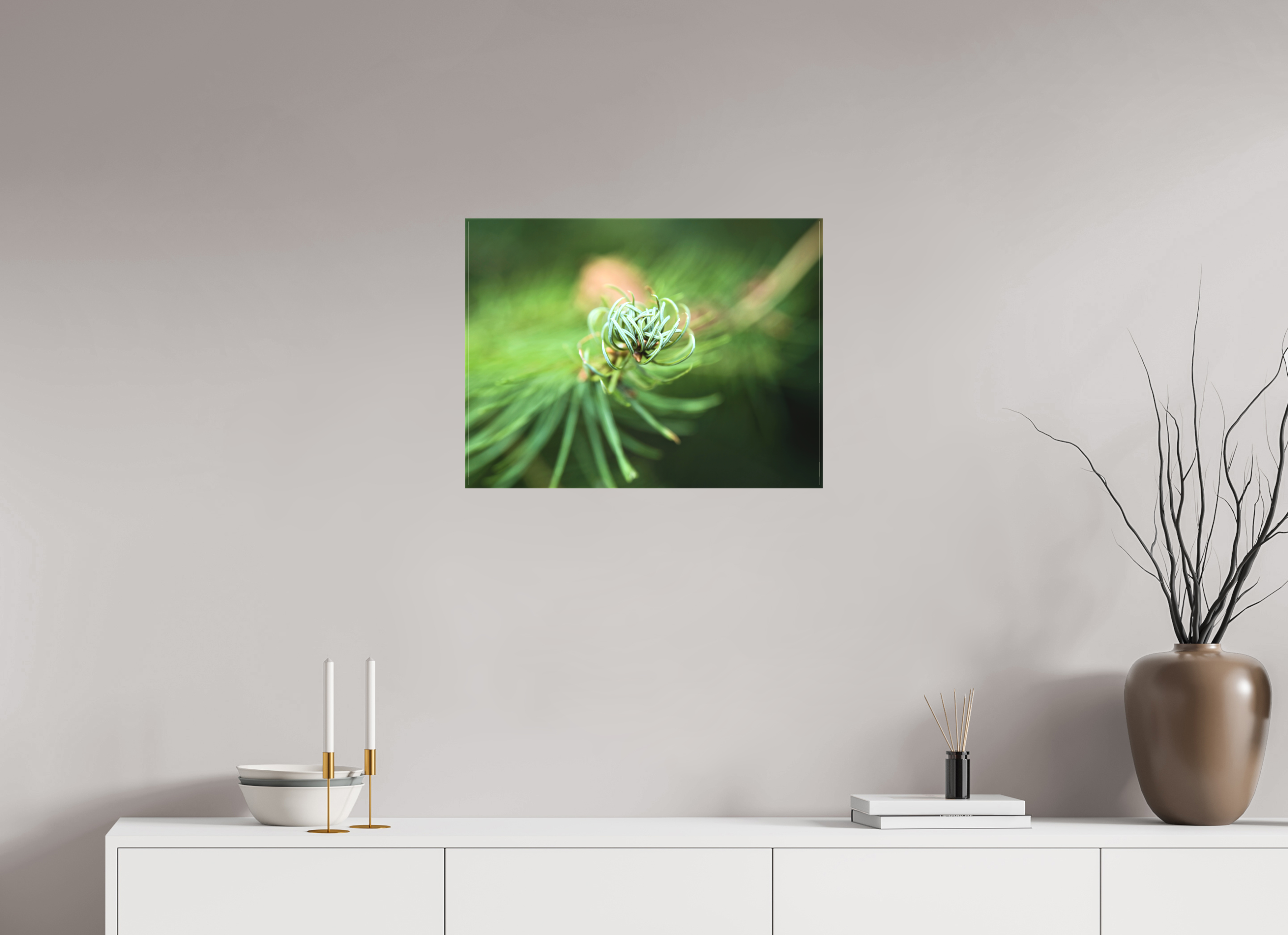 60 x 45 cm, Canvas Pine Spiral – Emerging Forest Light