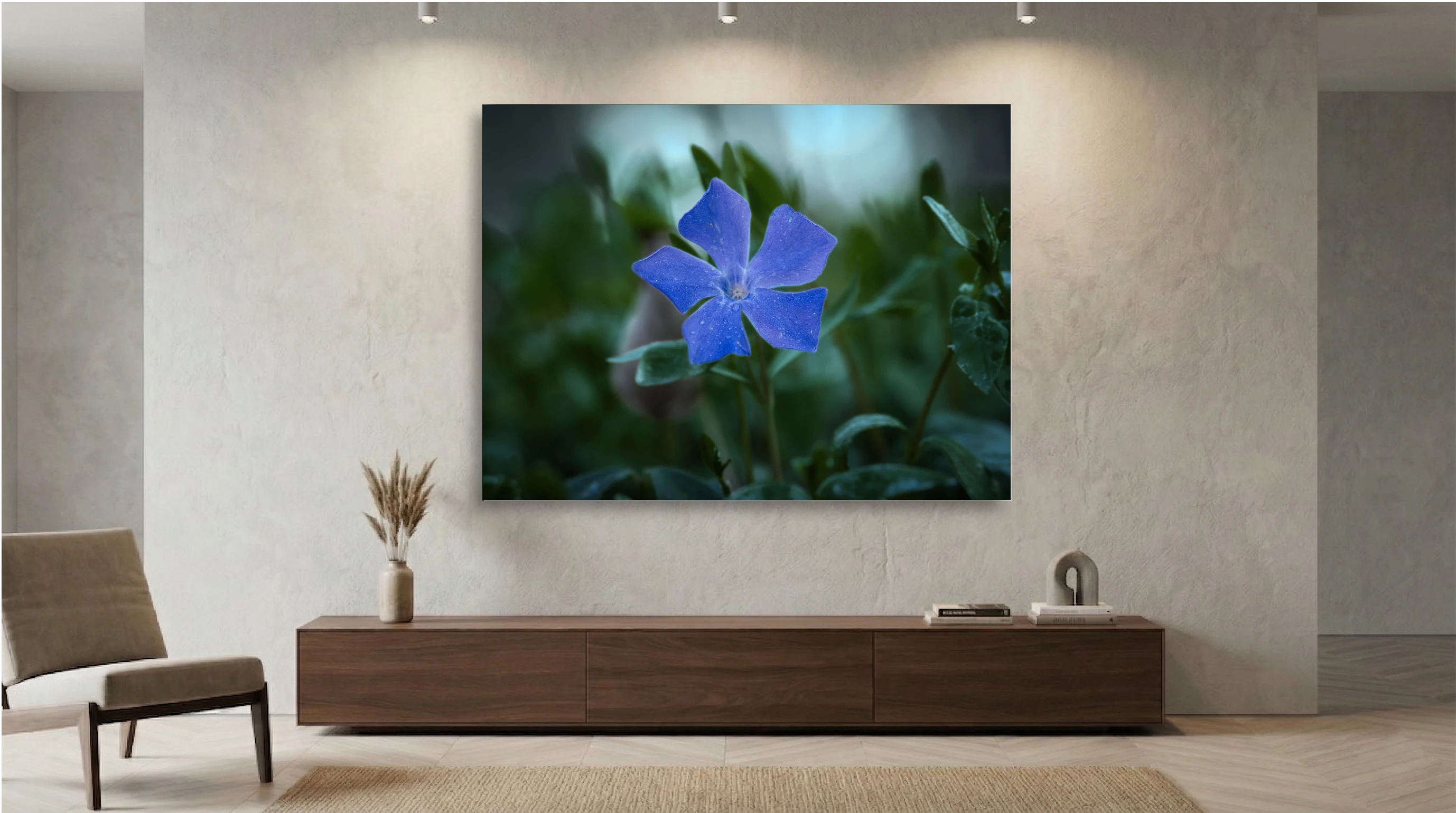 Ephemeral Dew: The Blue Periwinkle