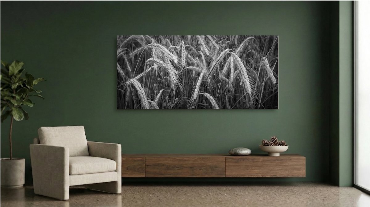 Rural Silence – Fine Art Panorama
