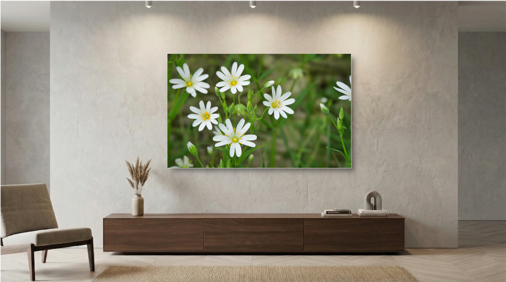 Die Stille der Sternmiere – Botanische Eleganz im sanften Grün