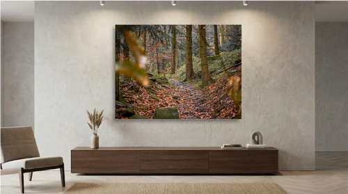 Autumn Path – Quiet Steps Through the Woods