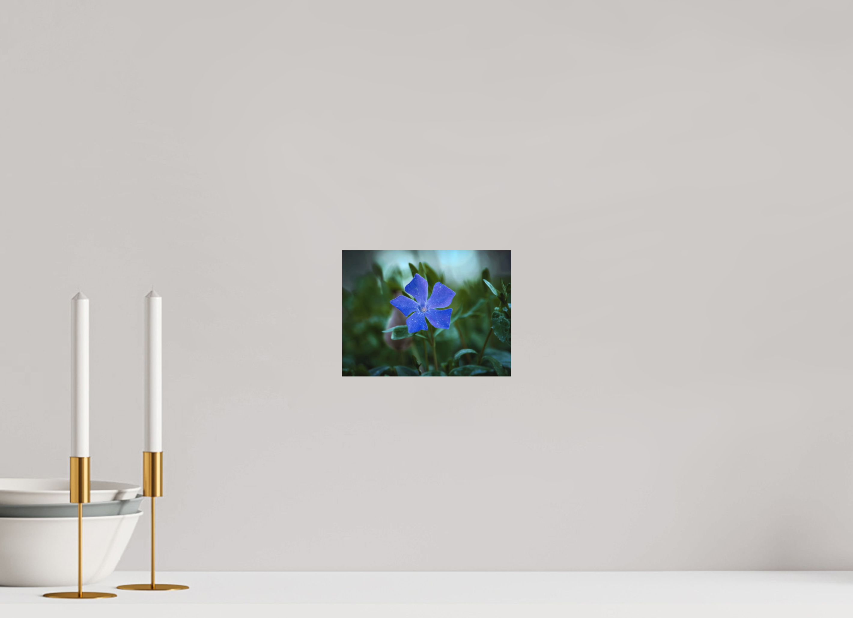 20 x 15 cm, Aluminum Dibond Ephemeral Dew: The Blue Periwinkle