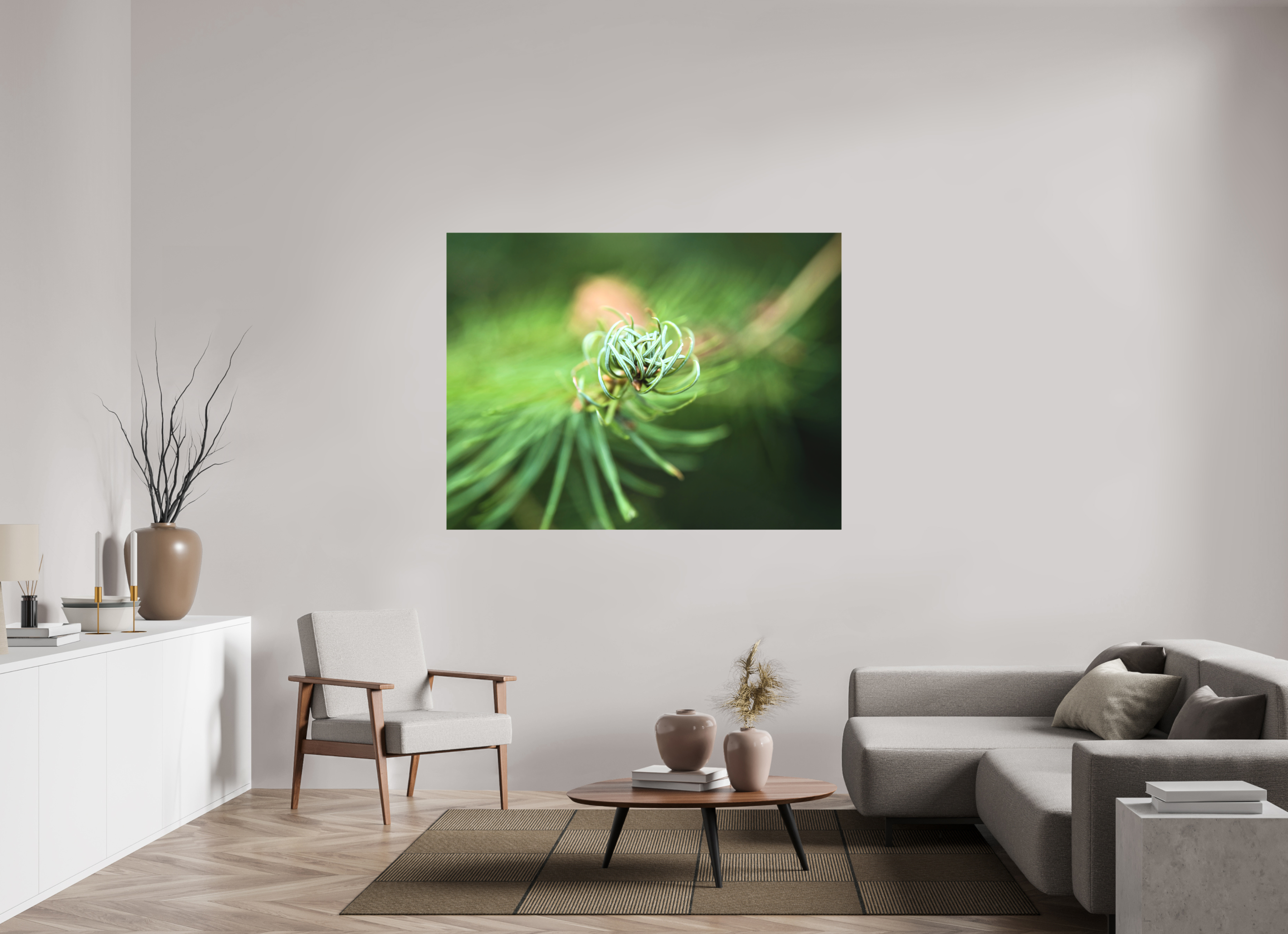 160 x 120 cm, Canvas Pine Spiral – Emerging Forest Light