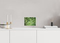 20 x 15 cm, Fine Art Acrylic Block Quiet Moment in Green