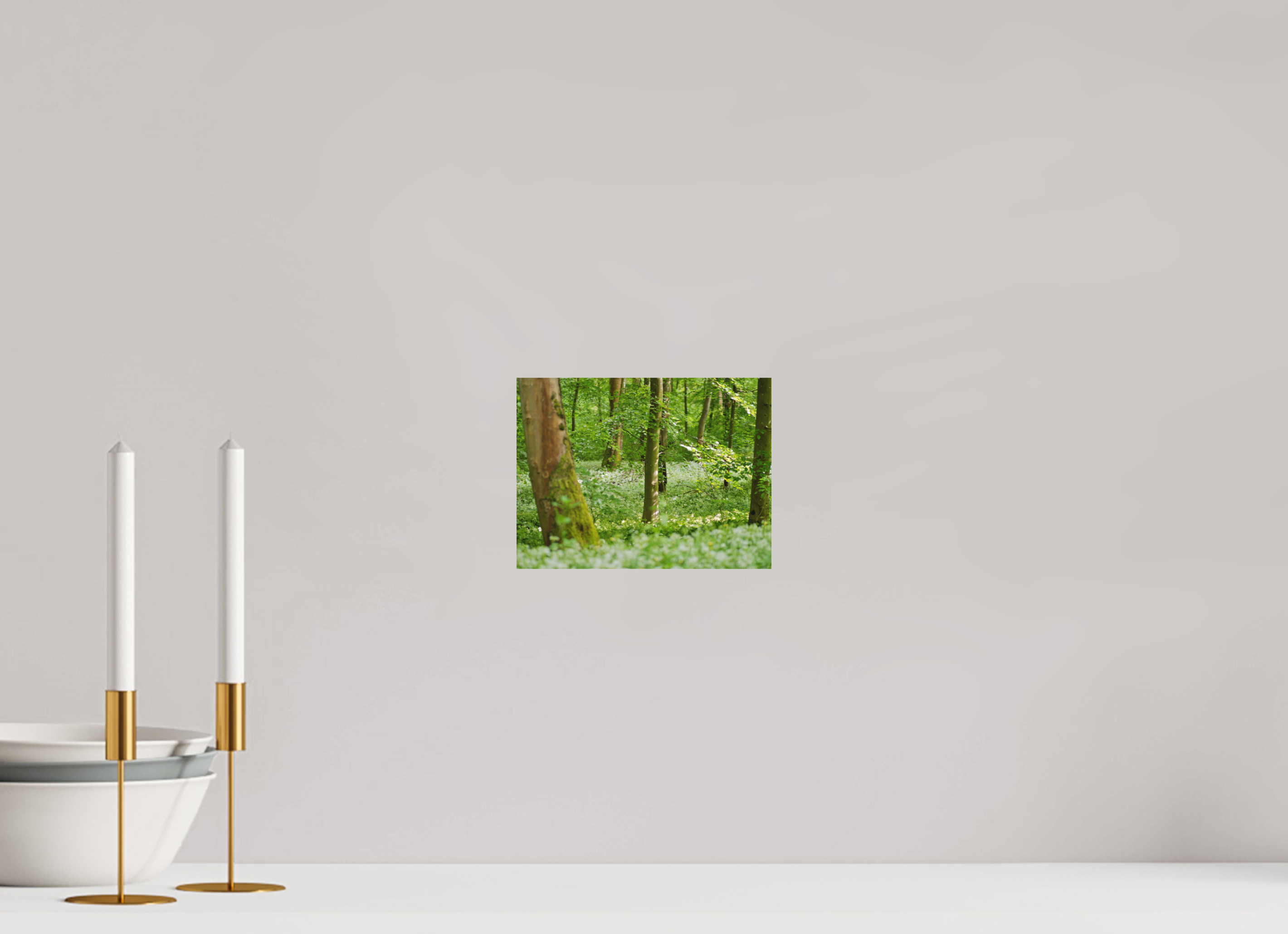 20 x 15 cm, Aluminum Dibond Forest Bloom – Whispering Spring Light