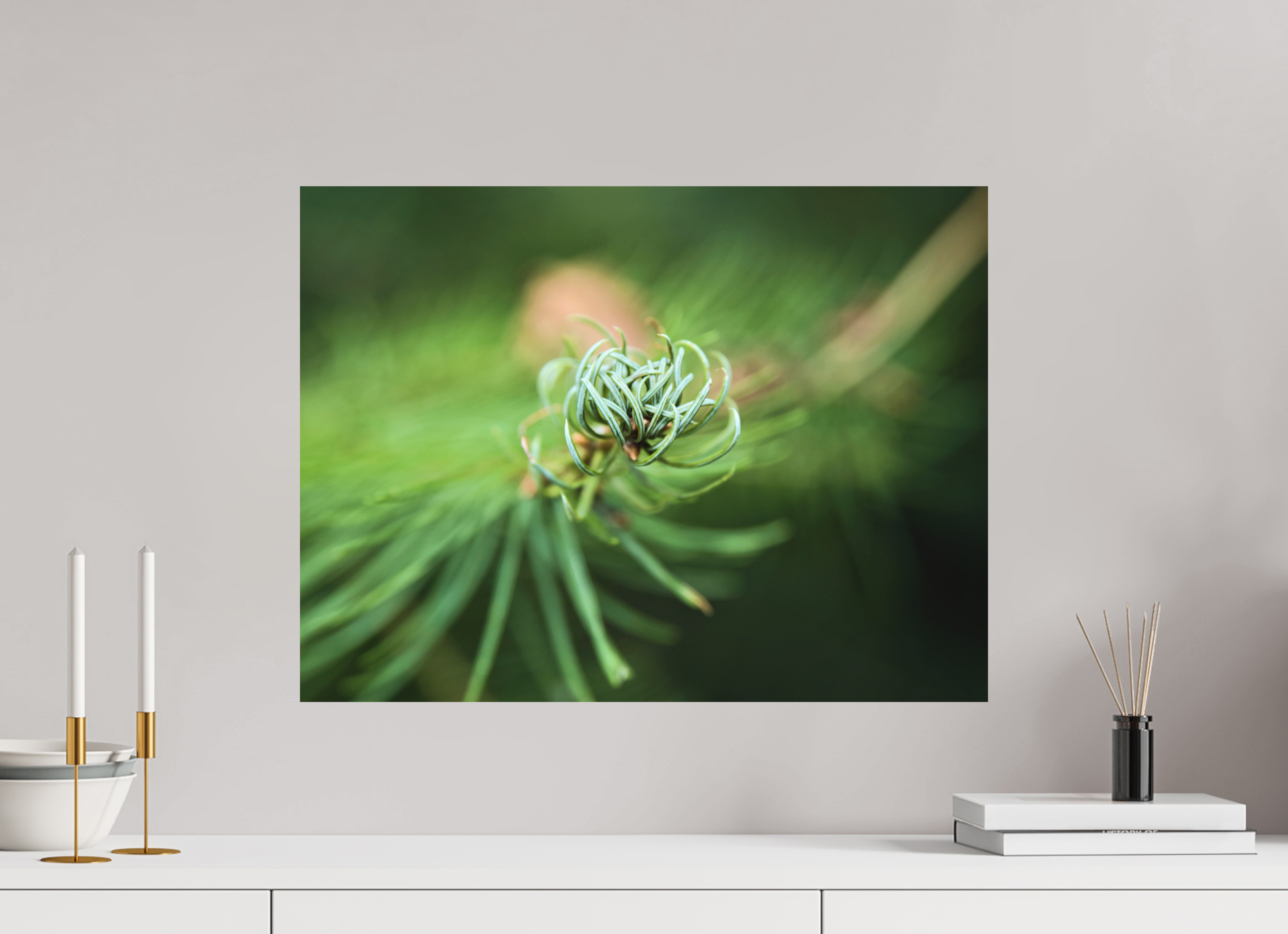 60 x 45 cm, Aluminum Dibond Pine Spiral – Emerging Forest Light