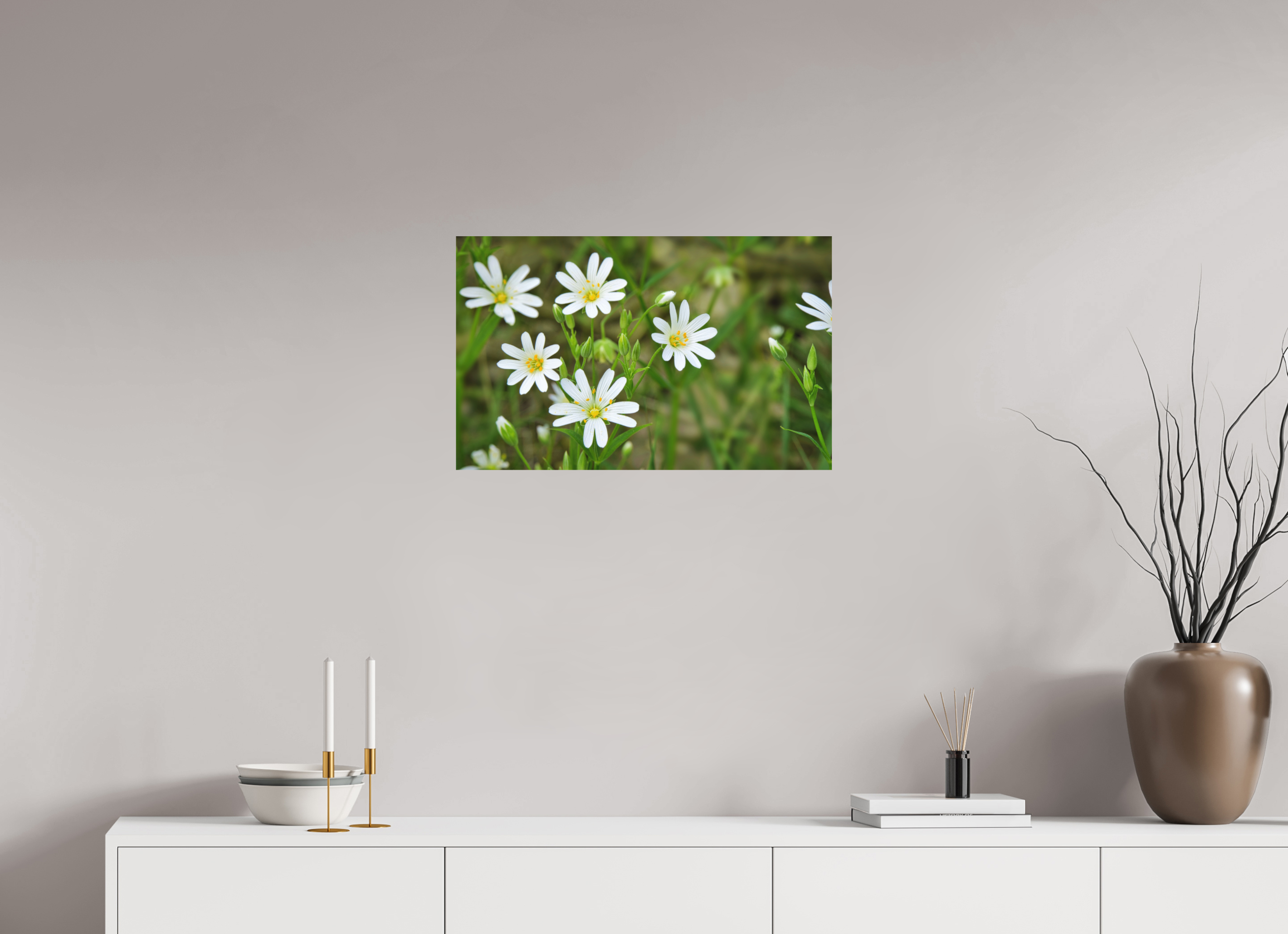64,3 x 40 cm, Aluminum Dibond The Silence of the Stitchwort – Botanical Elegance in Soft Green