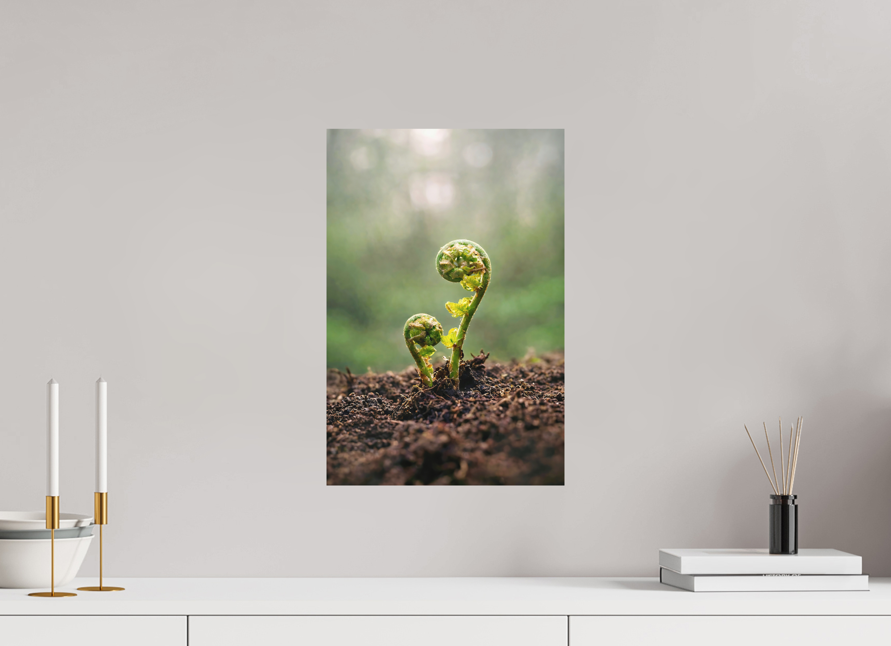 30 x 45 cm, Aluminum Dibond Fiddlehead Twins – Emerging Forest Life