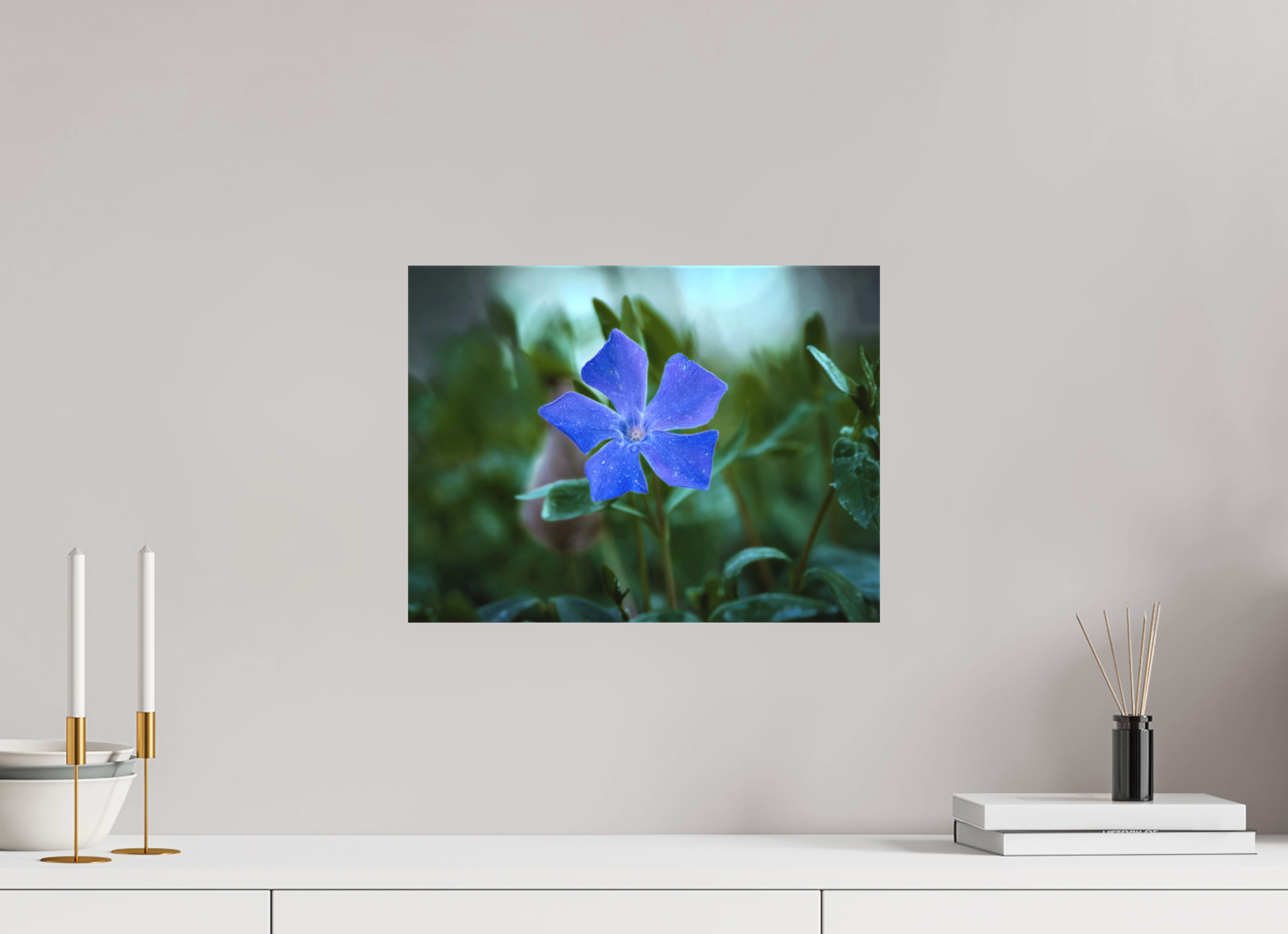 40 x 30 cm, Canvas Ephemeral Dew: The Blue Periwinkle