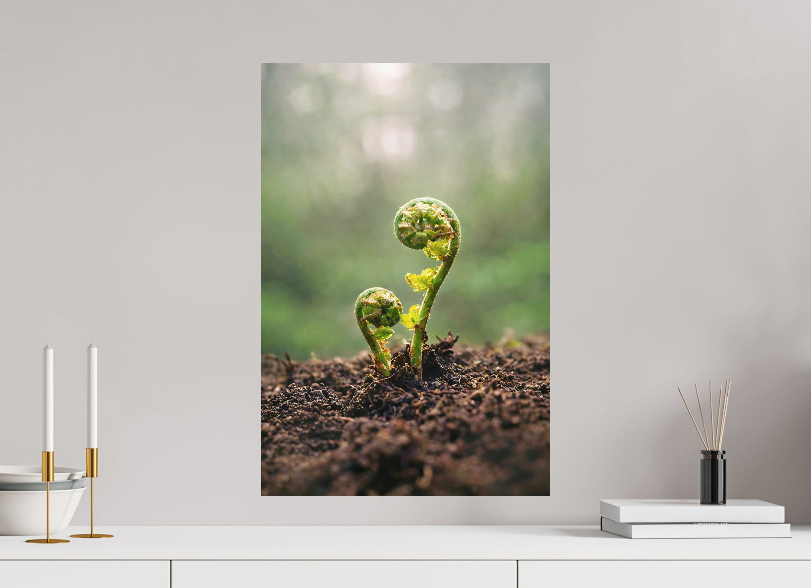 40 x 60 cm, Aluminum Dibond Fiddlehead Twins – Emerging Forest Life
