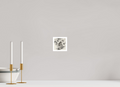 10 x 10 cm, Poster Tiger in the Mist – Silent Strength