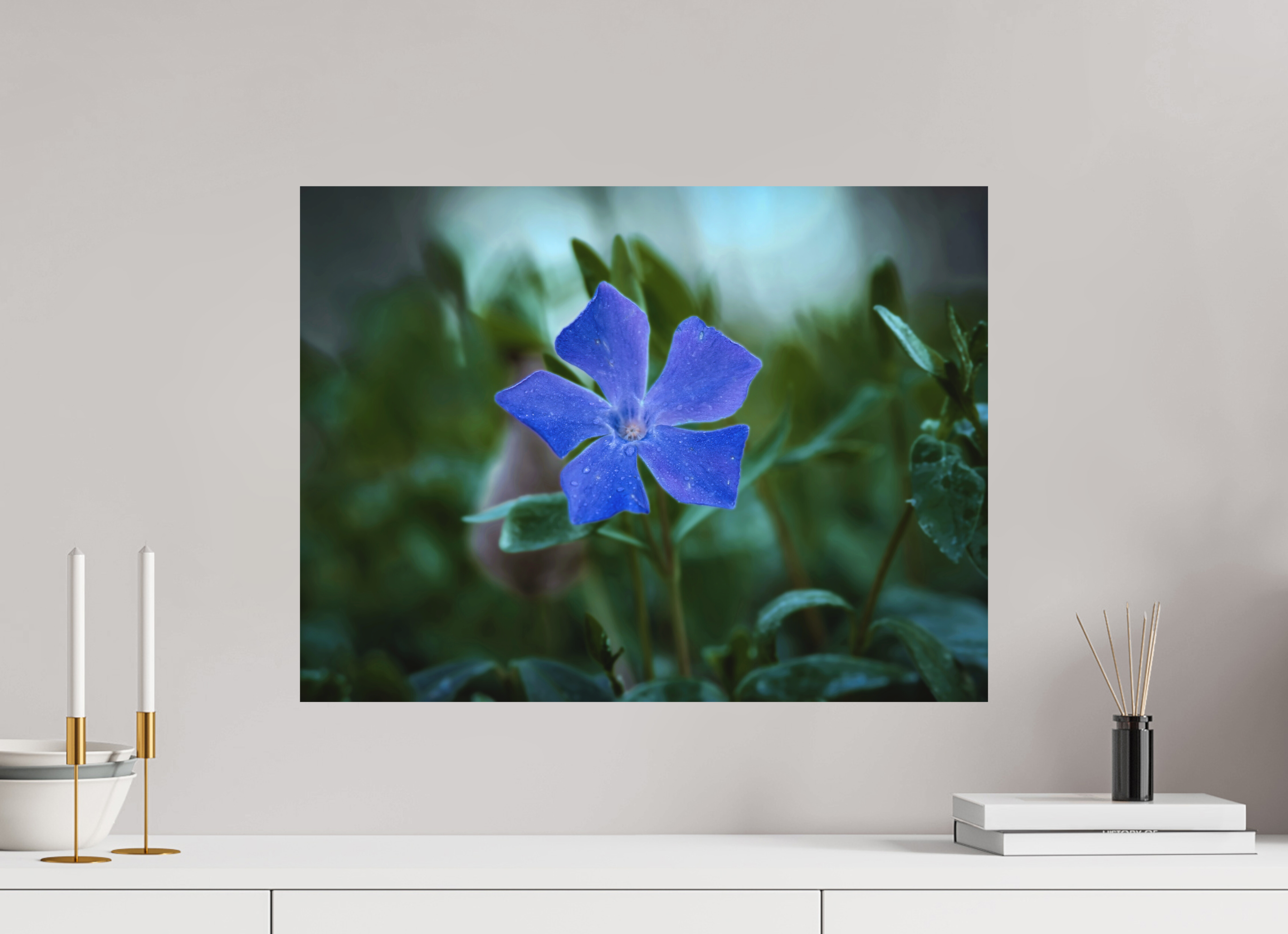 60 x 45 cm, Aluminum Dibond Ephemeral Dew: The Blue Periwinkle